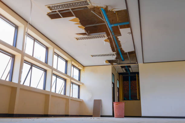 Best Professional water damage repair  in Battlement Mesa, CO