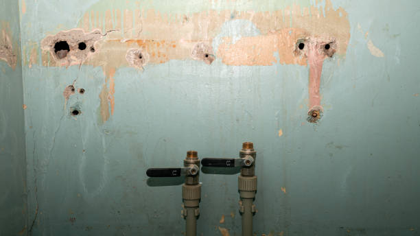 Best Flood restoration services  in Battlement Mesa, CO