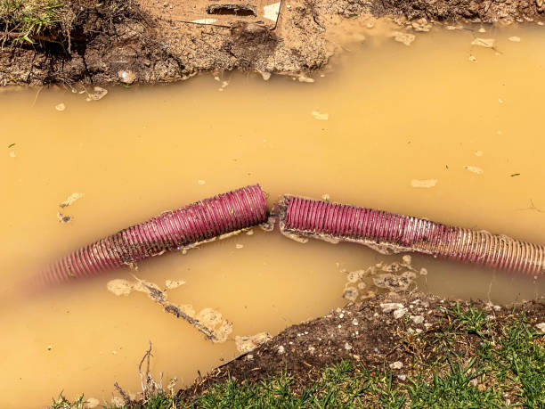 Best 24/7 water damage repair  in Battlement Mesa, CO